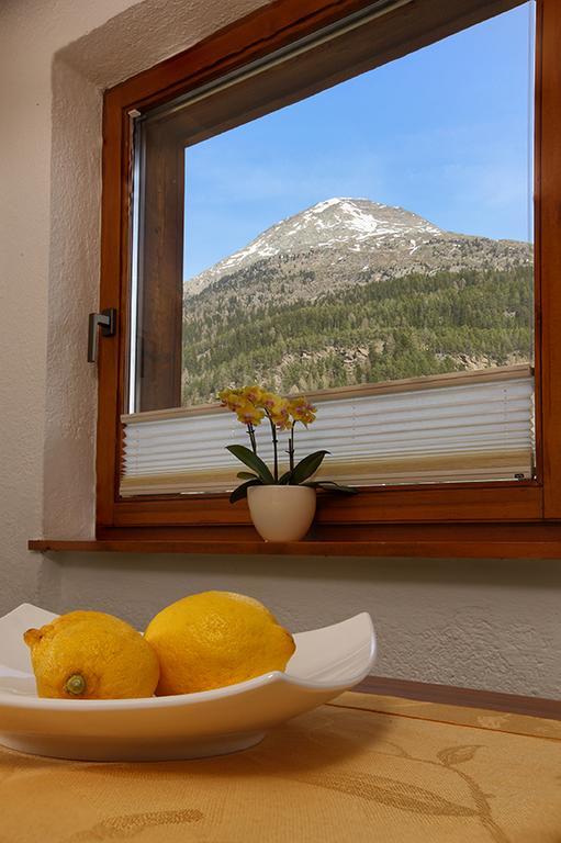 Apartment Gotthard *